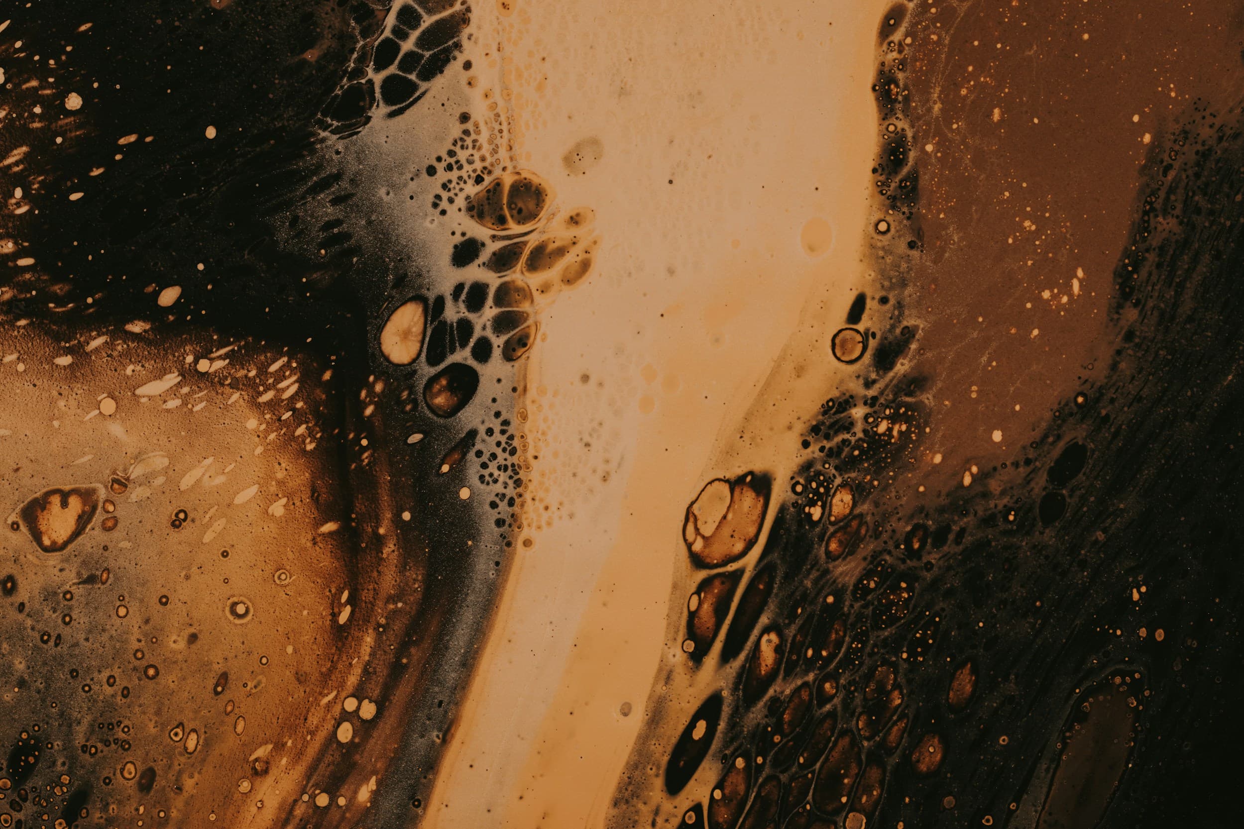 auth background